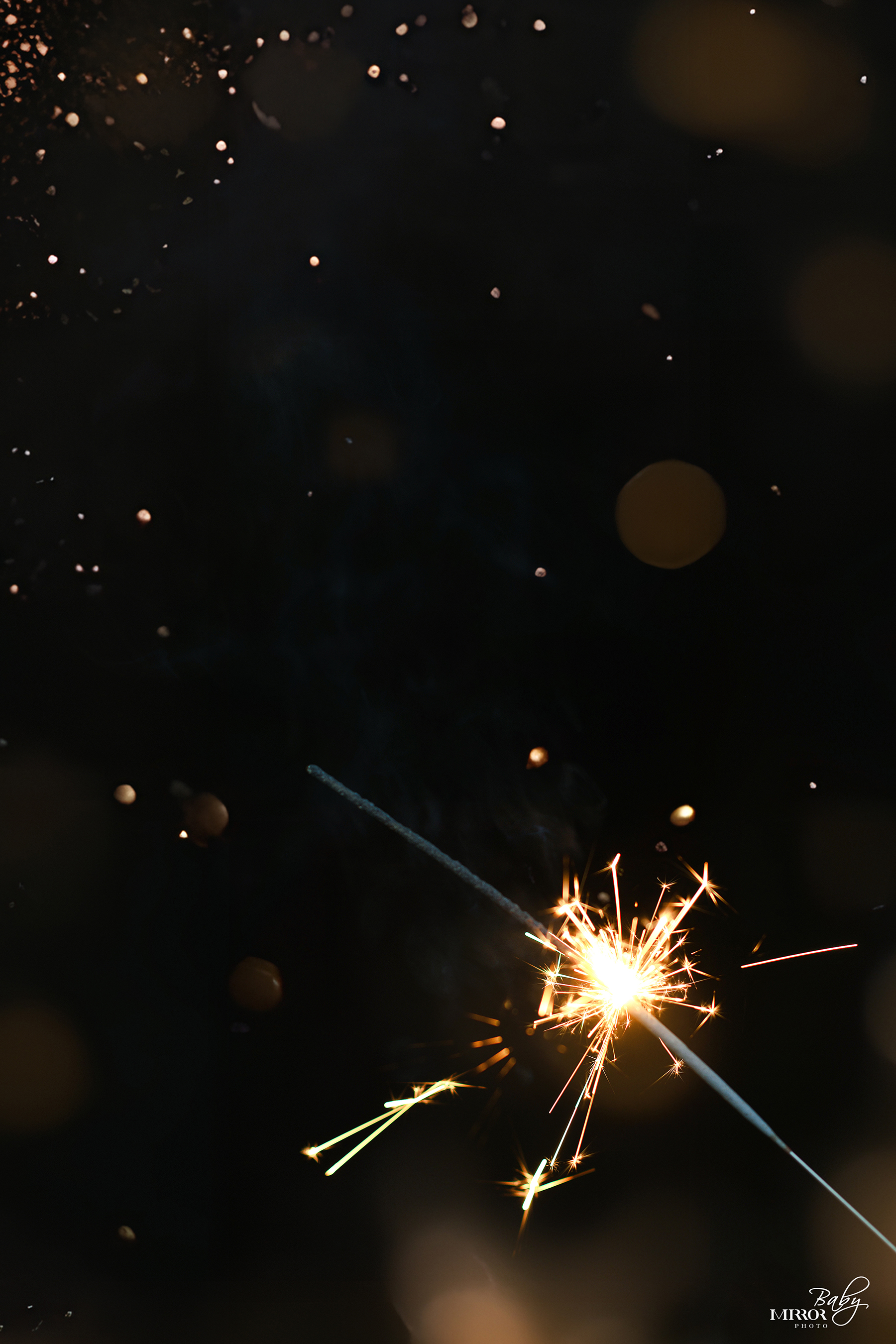LS_DSC_1931